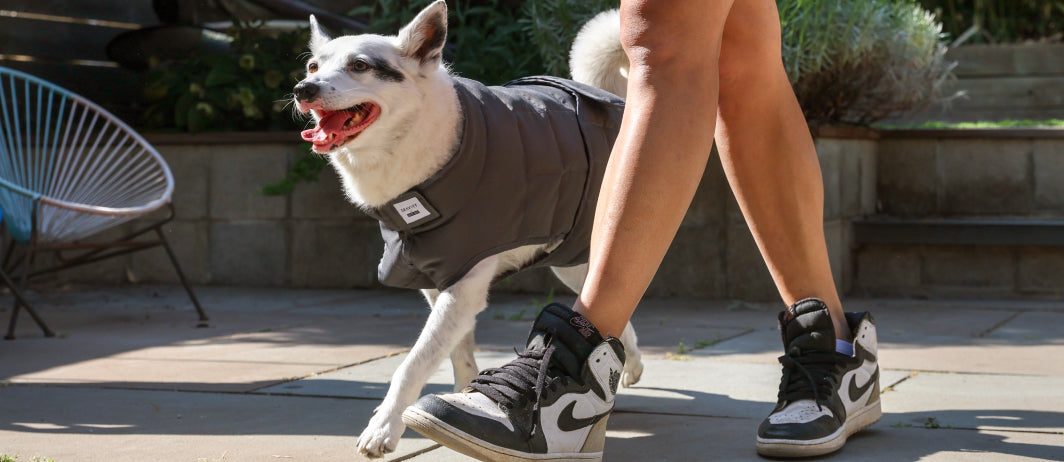 Bestie Hugs x Gravity: Behind The Partnership